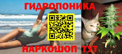 соль ск Будённовск