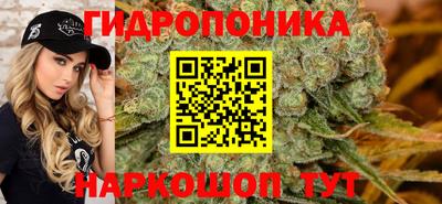 соль ск Будённовск