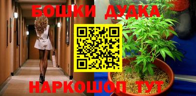 соль ск Будённовск