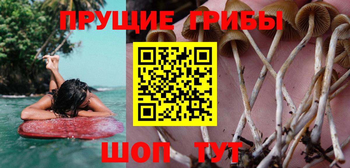 Галлюциногенные грибы ЛСД Тула