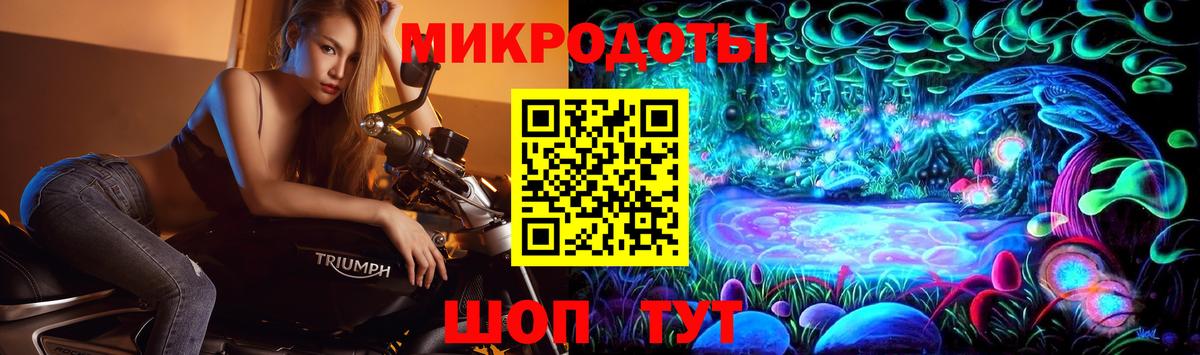 Тула  Псилоцибиновые грибы GOLDEN TEACHER  Вход с VPN  Галлюциногенные грибы Cubensis 